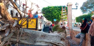#VIDEO | Un pináculo de una de las torres de Plaza de Armas, daños que arrojó la caída de árbol