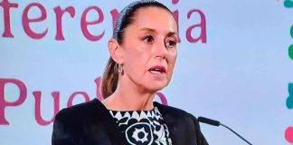 “Todos queremos combatir a los cárteles de la droga”: Presidenta de México en la Mañanera del Pueblo