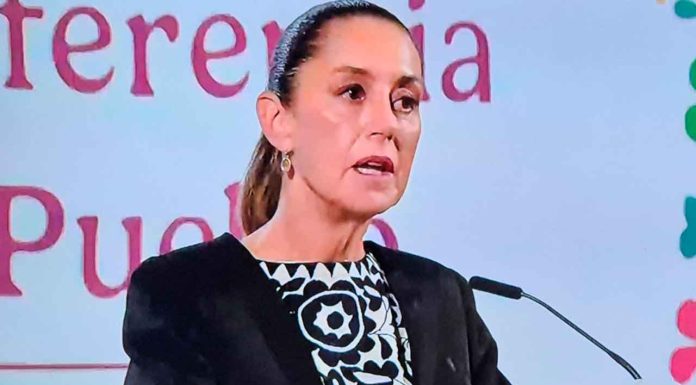 “Todos queremos combatir a los cárteles de la droga”: Presidenta de México en la Mañanera del Pueblo