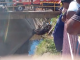 #VIDEOS | Conductor de camioneta sufre infarto y se precipita a canal de aguas negras en LC