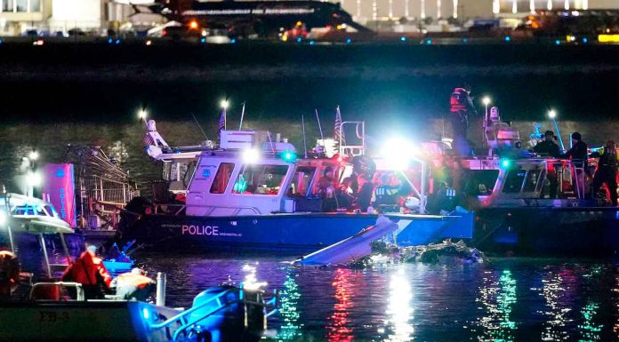 #VIDEO | Descartan sobrevivientes tras accidente aéreo en Washington