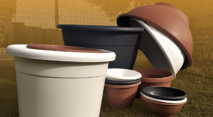 Implementar esta estrategia te ayudará a prevenir el dengue en casa: SSM