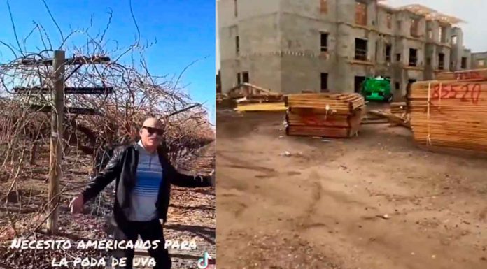 #VIDEO | Supermercados en EU sin personal debido a las deportaciones de latinos