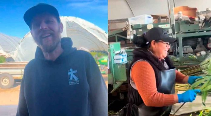 #VIDEO | Patrón gringo presume a sus trabajadores mexicanos en medio de las deportaciones de EU