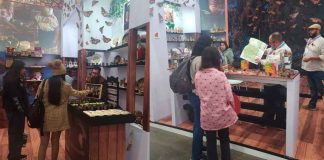 Experiencia de la Mariposa Monarca envuelve a la Feria de León
