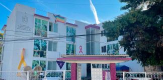 Mantiene Michoacán acciones para combatir la violencia feminicida