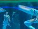 #VIDEO | Pez gigante ataca a mujer disfrazada de sirena durante el show de un acuario