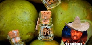 #Entérate | Morelianos buscan Récord Guinness con la botella de tequila más pequeña del mundo