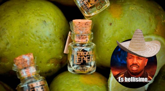 #Entérate | Morelianos buscan Récord Guinness con la botella de tequila más pequeña del mundo