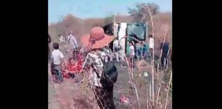 #VIDEOS | Reportan al menos dos fallecidos tras fuerte choque en la carretera Nueva Italia – Uruapan