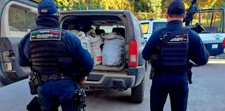 Oficiales de CUPSPET requieren a sujeto con aguacate presuntamente robado