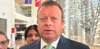 No permitiremos la simulación de reforestaciones por parte de empresas privadas: Medio Ambiente municipal