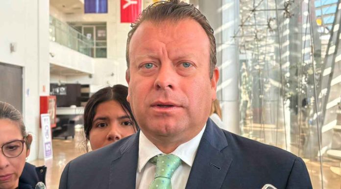 No permitiremos la simulación de reforestaciones por parte de empresas privadas: Medio Ambiente municipal