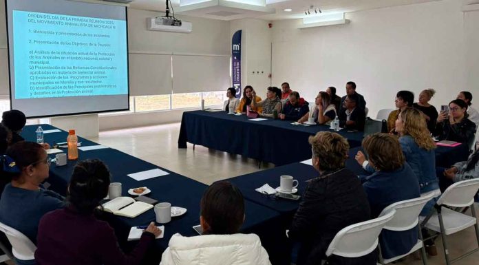 Animalistas de todo el estado se reúnen para hacer evaluación de situación de atención a perros y gatos