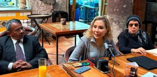 Animalistas del estado realizarán marcha para exigir justicia a la FGE
