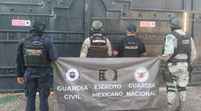 En operativo aseguran 60 explosivos para drones en Tierra Caliente: SSP