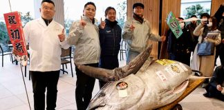 #Entérate | El primer atún rojo del año fue subastado y vendido en 1,3 millones de dólares