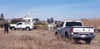 #VideoAvance | Hallan a hombre asesinado en baldío de la colonia Ampliación Gertrudis Sánchez, Morelia