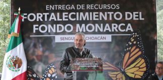 #Imágenes | Con Fondo Monarca aumentó pago de servicios ambientales para cuidar la mariposa: Bedolla