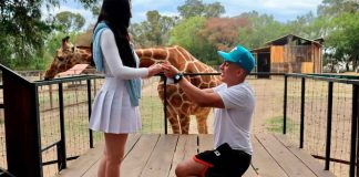 El amor se vive en el ZooMorelia; cásate el 14 de febrero en el parque