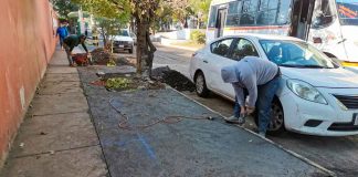 #Imágenes | Rehabilitan banqueta en la Calzada Zamora-Jacona para mejorar seguridad de peatones