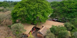 Michoacán destinó más de medio mdp del Fondo Ambiental en acciones de conservación