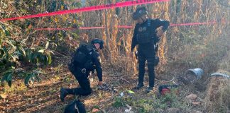 Guardia Civil desactiva 2 explosivos para lanzarse desde drones, en Tangamandapio