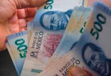 ¿No te pagaron aguinaldo? Esto dice la ley y qué puedes hacer