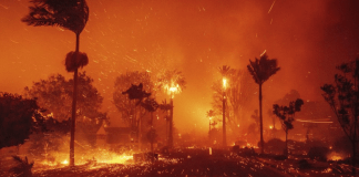 #VIDEO | Confirman un sexto incendio en California, en las montañas del área de Hollywood