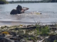 #VIDEO | Capibara ataca a joven y video se viraliza