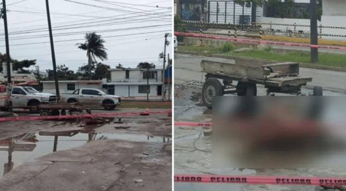 #México: Caballo muere electrocutado mientras jalaba carreta en plena calle