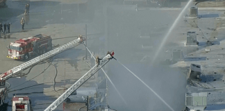 Cientos de animales mueren en incendio de centro comercial
