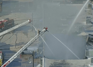 Cientos de animales mueren en incendio de centro comercial