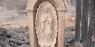 #VIDEO | Estatua de la Virgen Guadalupe queda intacta tras incendios en California