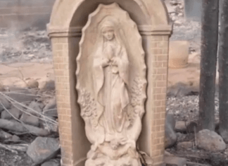 #VIDEO | Estatua de la Virgen Guadalupe queda intacta tras incendios en California