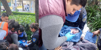 #México: En pleno camellón mujer da a luz con ayuda de policías