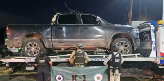 Asegurados 60 explosivos improvisados, cartuchos, 8 camionetas y equipo táctico en Tierra Caliente
