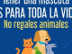 Fiscalía General refuerza acciones para erradicar la venta de animales en el operativo de Día de Reyes