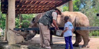 Los viernes son de aventura y diversión en el Zoológico de Morelia