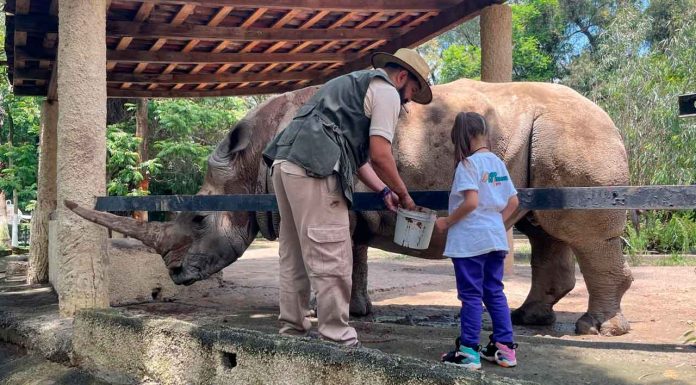 Los viernes son de aventura y diversión en el Zoológico de Morelia