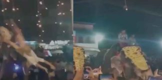 #VIDEO | Elefante embiste a multitud durante un desfile, dejando más de 20 heridos