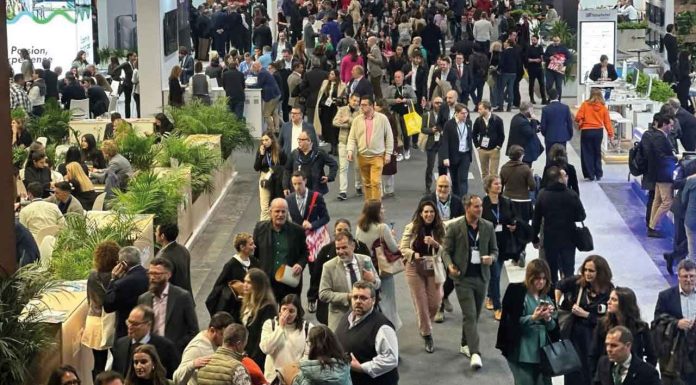 #Imágenes | Michoacán cautiva en el último día de la Fitur 2025