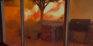 #VIDEO | Un hombre y su perro se quedaron atrapados por las llamas durante los incendios forestales de California