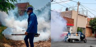 Permanente el trabajo de la Brigada Municipal contra el Dengue en Zamora