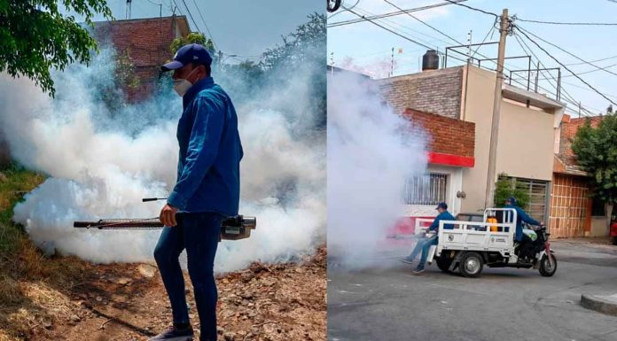 Permanente el trabajo de la Brigada Municipal contra el Dengue en Zamora