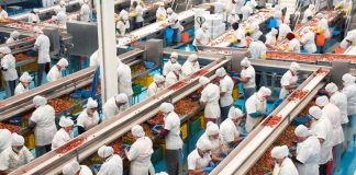 #Imágenes | Michoacán, entre los 10 estados con más generación de empleo: Sedeco