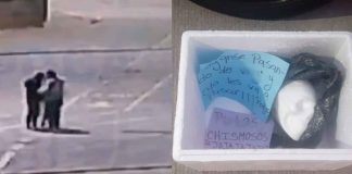 #VIDEO | #México: Sujetos dejan una hielera con cabezas de unicel y dos carteles; se trató de una pesada broma