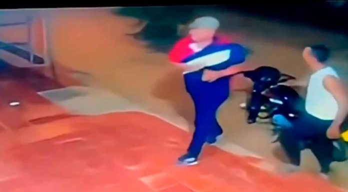 #VIDEO | Hombre asesina a su ‘amigo’ para robarle su motocicleta