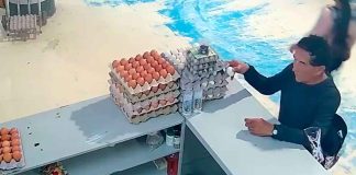 #VIDEO // Intenta robar UN huevo, pero lo descubren en la ‘movida’