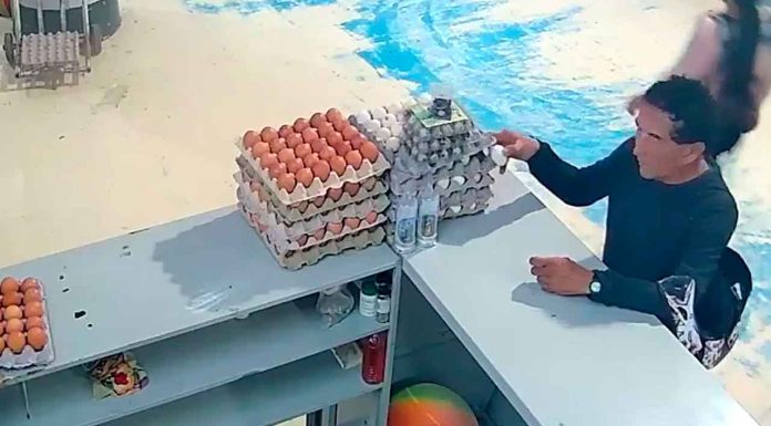 #VIDEO // Intenta robar UN huevo, pero lo descubren en la ‘movida’